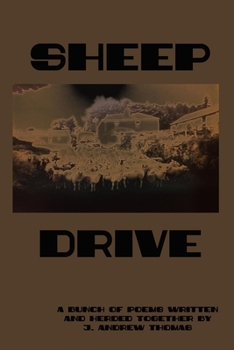 Paperback Sheep Drive Book