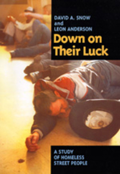 Paperback Down on Their Luck: A Study of Homeless Street People Book