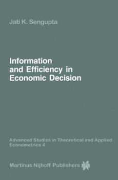 Paperback Information and Efficiency in Economic Decision Book