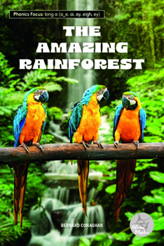 The Amazing Rainforest