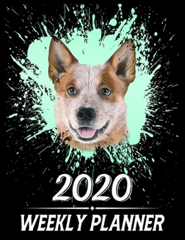 2020 Weekly Planner: Weekly & Monthly 2020 Planner Jan 1 2020 to Dec 31 2020 With Month, Week Views, 1 Year Planner + Important Holiday Dates, Australian Cattle Dog Cover