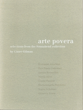 Paperback Arte Povera: Selections from the Sonnabend Collection Book