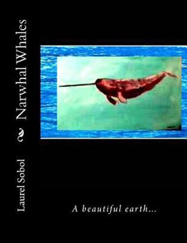 Narwhal Whales