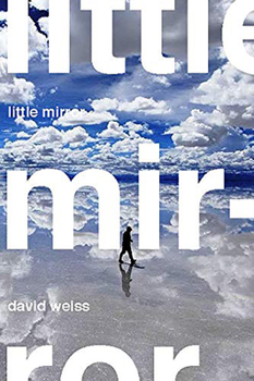 Paperback Little Mirror Book
