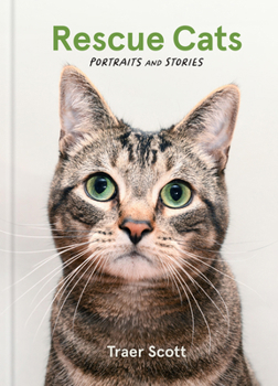 Hardcover Rescue Cats: Portraits and Stories Book