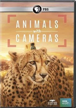 DVD Nature: Animals with Cameras Book