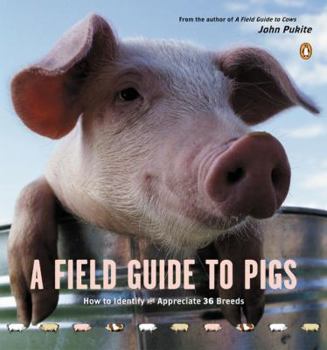 Paperback A Field Guide to Pigs Book