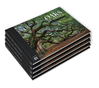 Hardcover Oaks in Office: Biblical Essays for Political Leaders, Four Volume Set Book