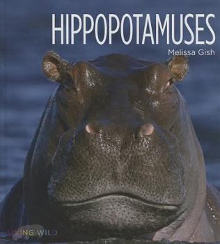 Hardcover Hippopotamuses Book