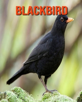 Blackbird: Fun Learning Facts About Blackbird