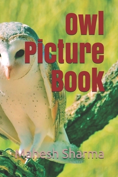 Paperback Owl Picture Book