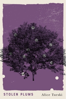 Paperback Stolen Plums Book