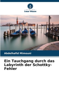 Paperback Ein Tauchgang durch das Labyrinth der Schottky-Fehler [German] Book