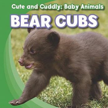 Bear Cubs - Book  of the Cute and Cuddly: Baby Animals
