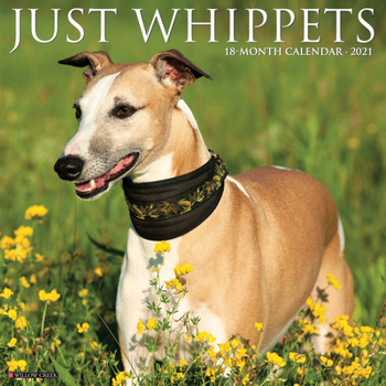 Calendar Just Whippets 2021 Wall Calendar (Dog Breed Calendar) Book