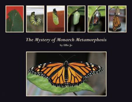 Hardcover The Mystery of Monarch Metamorphosis Book