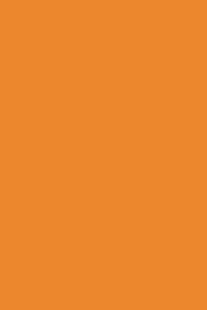 2020 Daily Planner Orange Color Simple Plain Orange 388 Pages: 2020 Planners Calendars Organizers Datebooks Appointment Books Agendas