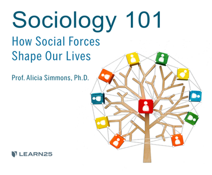 Audio CD Sociology 101: How Social Forces Shape Our Lives Book