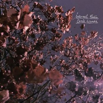 Vinyl Internal Radio   Lavender Book