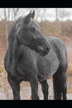 Paperback Manual för Noriker Hästar [Swedish] Book