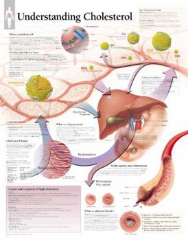 Misc. Understanding Cholesterol Chart: Laminated Wall Chart Book
