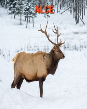 Alce: Alce (Spanish Edition)