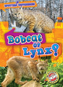 Library Binding Bobcat or Lynx? Book