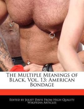The Multiple Meanings of Black, Vol. 13 : American Bondage