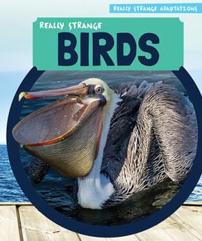 Paperback Really Strange Birds Book
