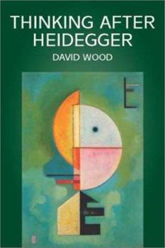 Hardcover Thinking After Heidegger Book