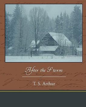 Paperback After the Storm Book