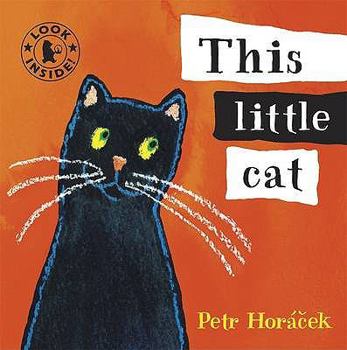 Board book This Little Cat. Petr Horcek Book