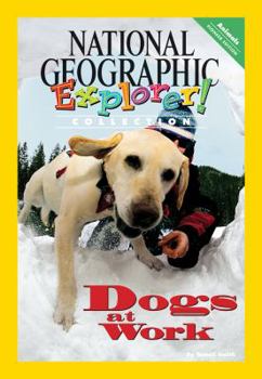 Paperback Explorer Books (Pioneer Science: Animals): Dogs at Work Book