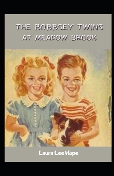 Paperback The Bobbsey Twins at Meadow Brook Illustrated Book