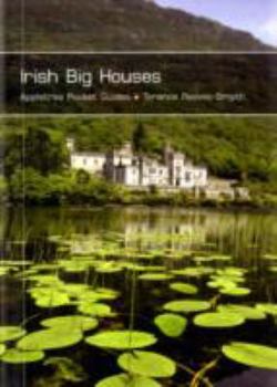 Paperback Irish Big Houses Book