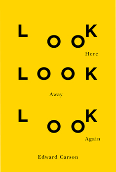 Paperback Look Here Look Away Look Again: Volume 46 Book