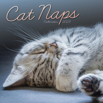 Calendar 2023 Cat Naps Mini Calendar Book