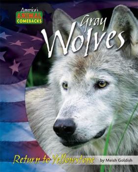 Library Binding Gray Wolves: Return to Yellowstone Book