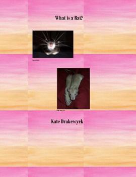 Paperback What is a Rat? Book