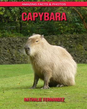 Capybara: Amazing Facts & Photos