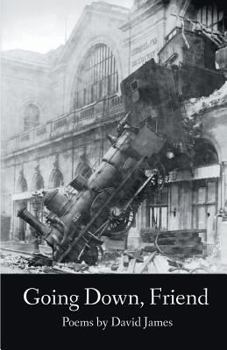 Paperback Going Down, Friend Book