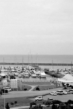 Paperback Okinawa Notebook Book