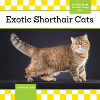 Library Binding Exotic Shorthair Cats Book
