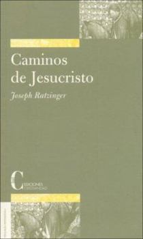 Paperback Caminos De Jesucristo / Ways of Jesus Christ (Teologia Sistematica / Systematic Theology) (Spanish Edition) [Spanish] Book