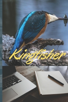 Paperback Kingfisher notebook: Notebook for student - Composition Size (6"x9") With Lined Pages, Perfect for Journal, Sketching and Notes. Book