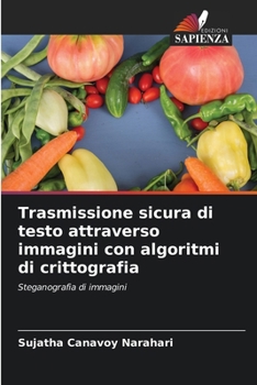 Paperback Trasmissione sicura di testo attraverso immagini con algoritmi di crittografia [Italian] Book