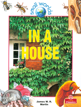 In a House (Small Worlds) - Book  of the Small Worlds
