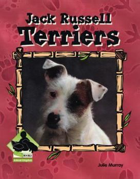Jack Russell Terriers (Animal Kingdom Set II)