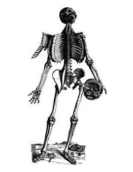 Anatomy Notebook: Muscles 15 - Andreas Vesalius Anatomy Art College Ruled Notebook | 110 Pages (Andreas Vesalius White Cover)