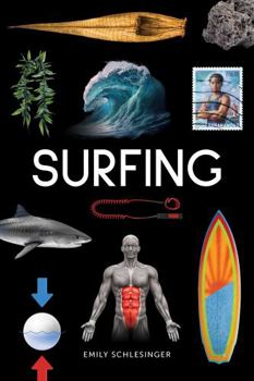 Paperback Surfing (Blue Delta Nonfiction) Book